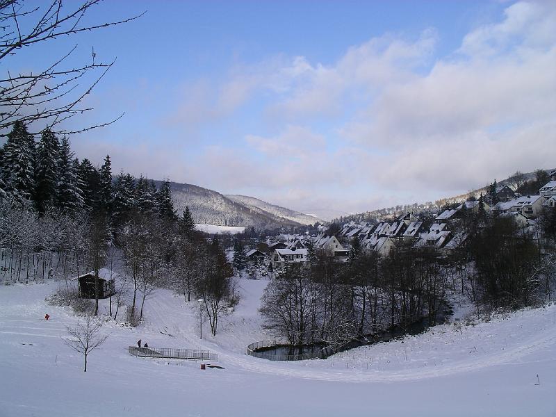 Winter 12.jpg